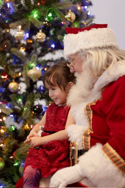 Santa Claus portrait
